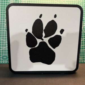 boston bruins light box (copy)